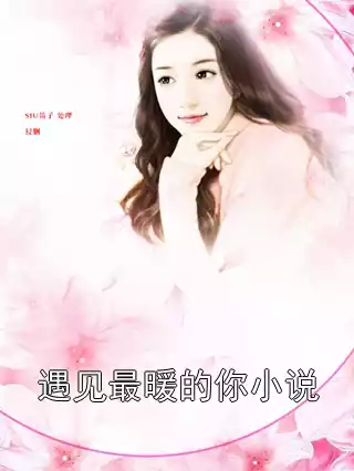遇见最暖的你小说