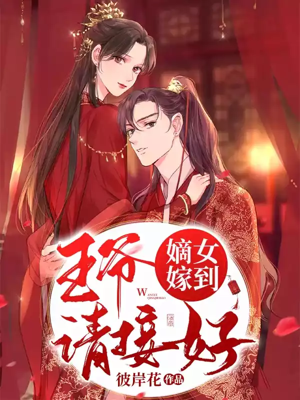 嫡女嫁到王爷请接好小说