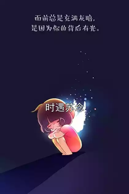 时遇苏念小说