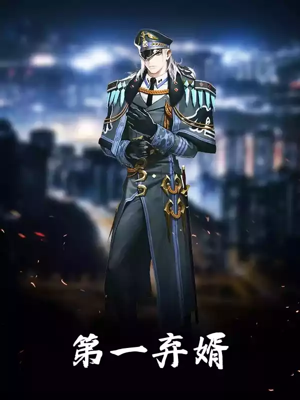 第一弃婿小说
