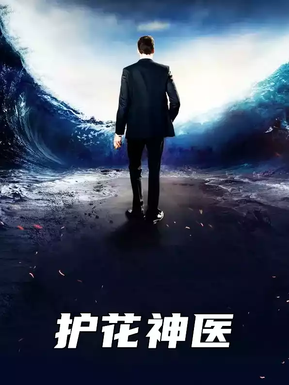护花神医叶天小说