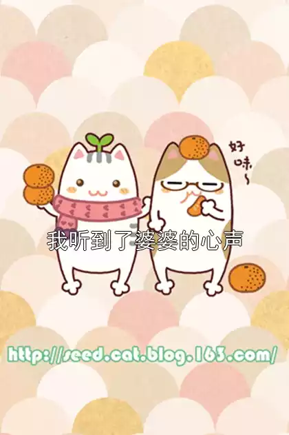 我听到了婆婆的心声小说