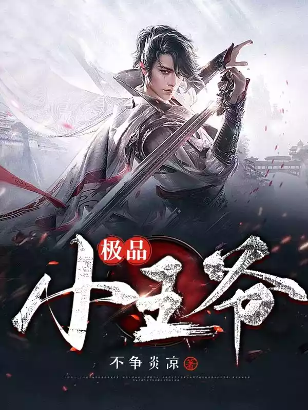极品小王爷小说小说