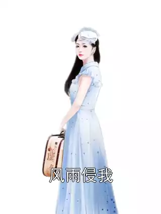 风雨侵我小说