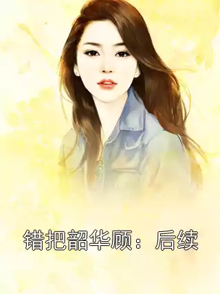 错把韶华顾：后续