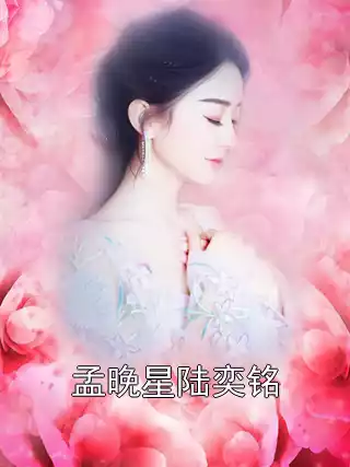孟晚星陆奕铭小说