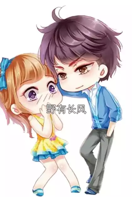野有长风小说