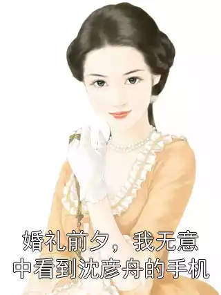 婚礼前夕，我无意中看到沈彦舟的手机小说