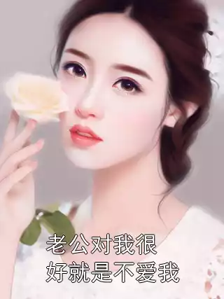 老公对我很好就是不爱我小说