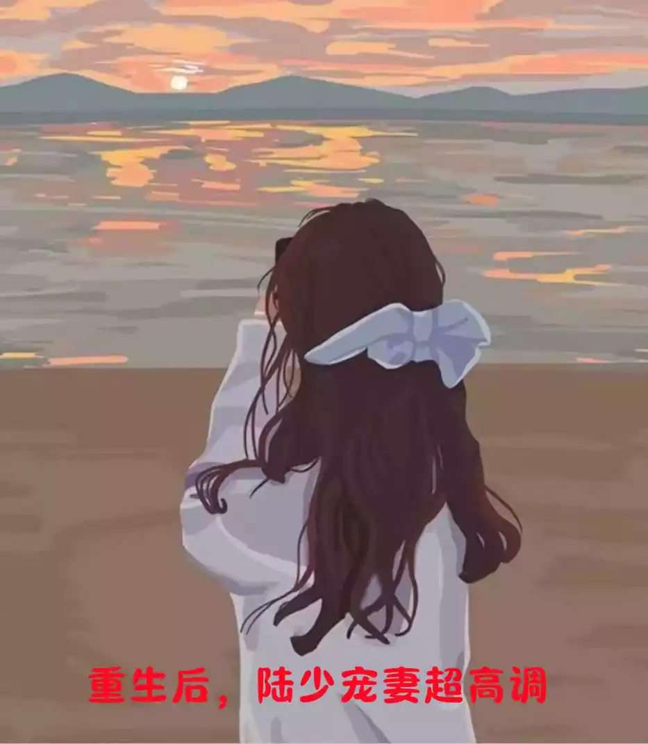 重生后陆少宠妻超高调小说
