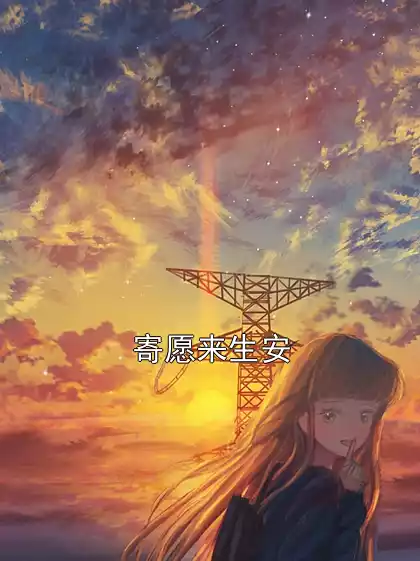 寄愿来生安小说