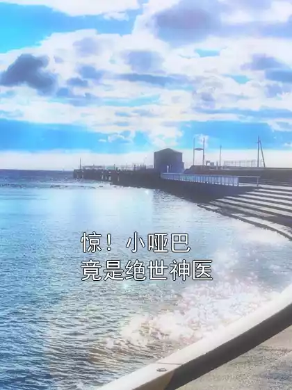 惊！小哑巴竟是绝世神医小说