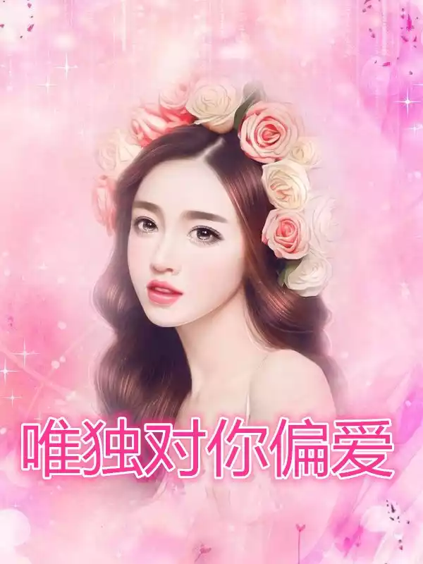 唯独对你偏爱小说