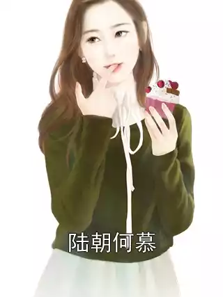 陆朝何慕小说