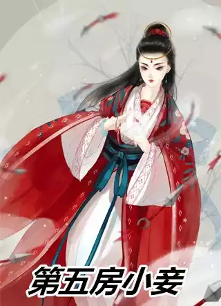 第五房小妾小说