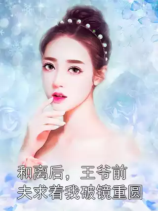 和离后，王爷前夫求着我破镜重圆小说