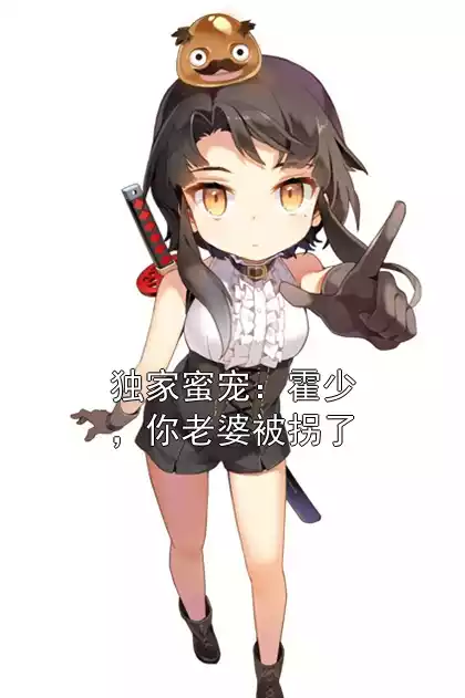 独家蜜宠：霍少，你老婆被拐了小说