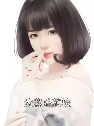沈紫陆乾桉小说