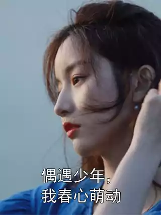 偶遇少年，我春心萌动小说