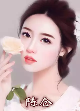陈仓小说