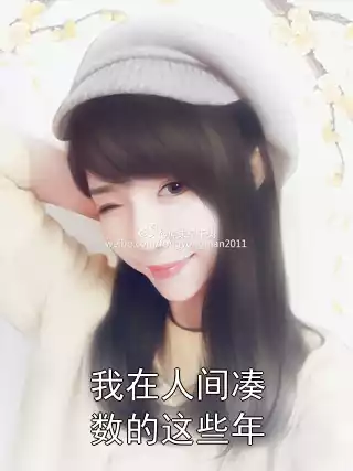 我在人间凑数的这些年小说
