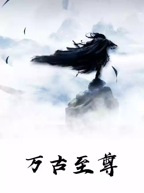万古至尊林霄小说
