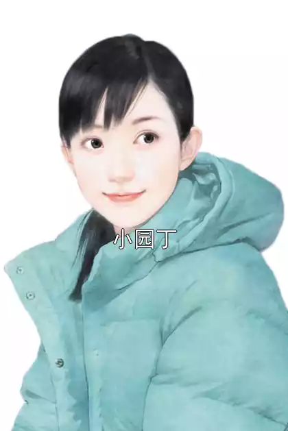 小园丁小说