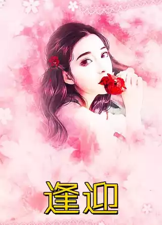 逢迎小说