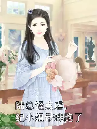陆总轻点虐，纪小姐带球跑了小说