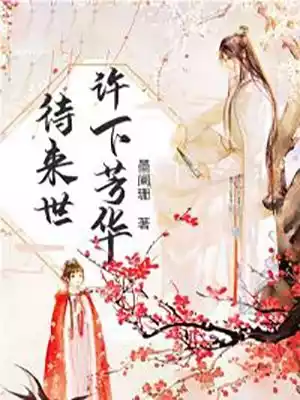 许下芳华待来世小说
