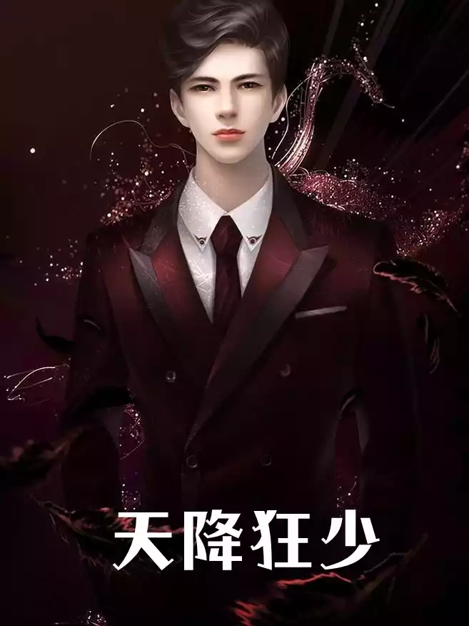 天降狂少小说