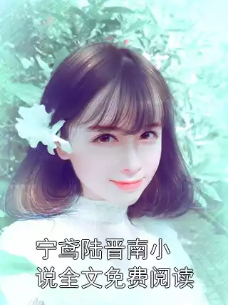 宁鸢陆晋南小说全文免费阅读
