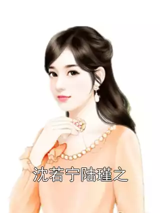 沈若宁陆瑾之小说