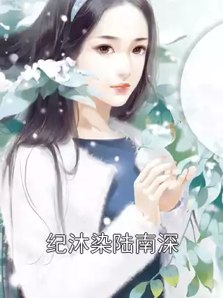 纪沐染陆南深小说