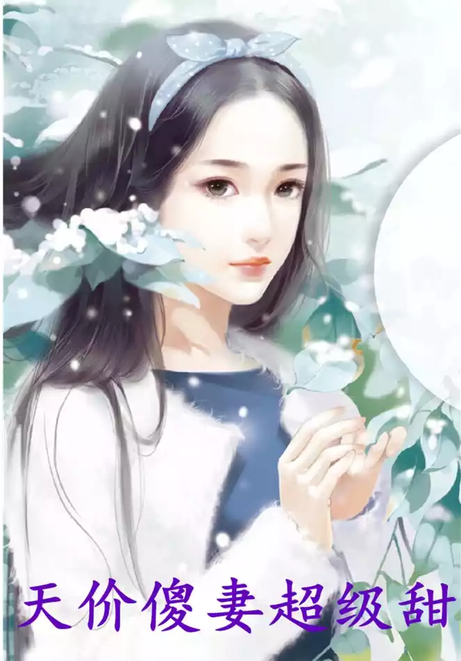 天价傻妻超级甜小说
