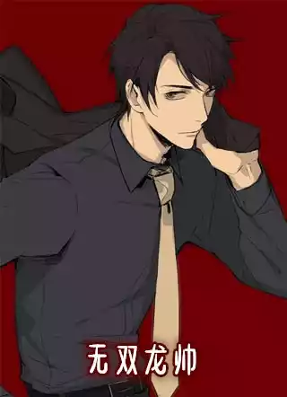 无双龙帅小说