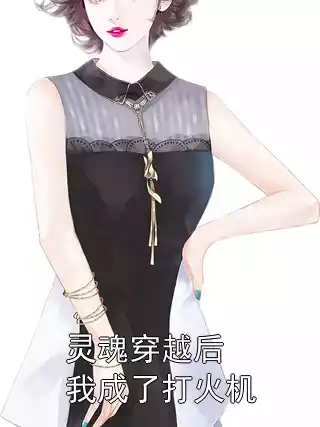 灵魂穿越后我成了打火机