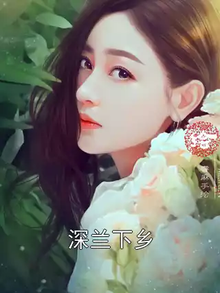 深兰下乡小说