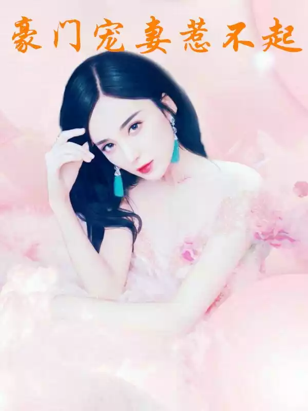 豪门宠妻惹不起小说