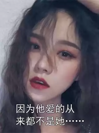 因为他爱的从来都不是她……小说