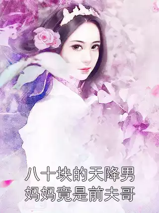 八十块的天降男妈妈竟是前夫哥小说