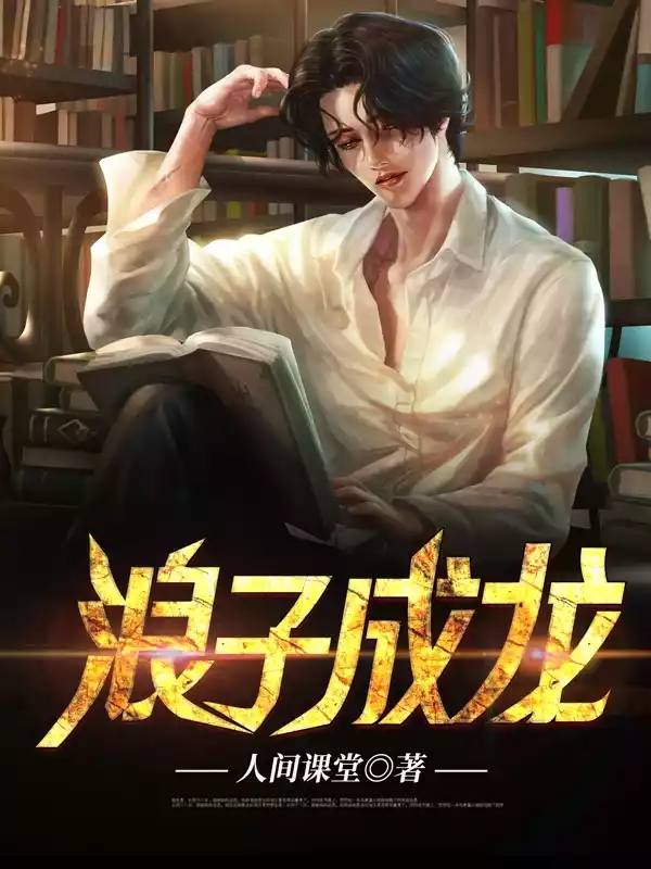 浪子成龙小说