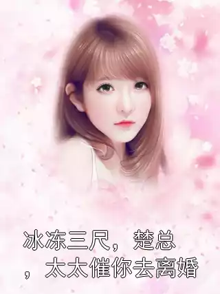 冰冻三尺，楚总，太太催你去离婚小说