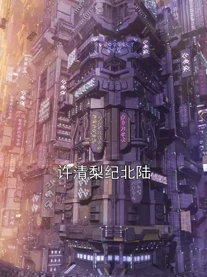 许清梨纪北陆小说