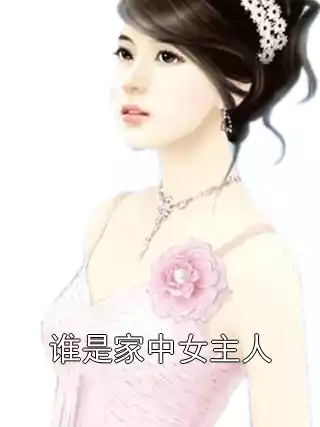 谁是家中女主人小说
