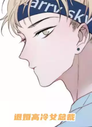 退婚高冷女总裁小说
