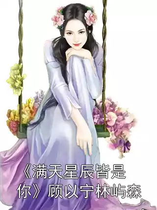 《满天星辰皆是你》顾以宁林屿森小说