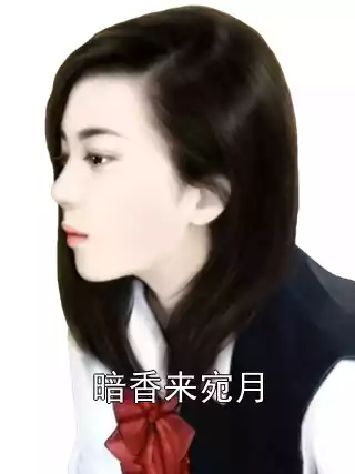 暗香来宛月小说