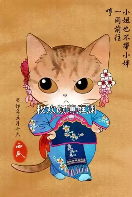 权欢颜薄庭渊小说