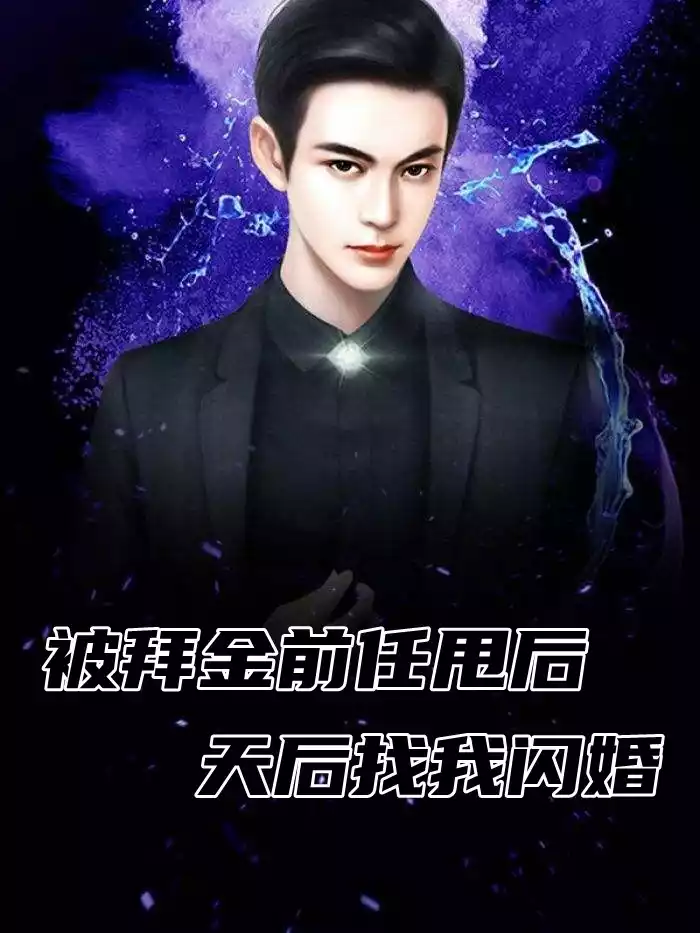 被拜金前任甩后天后找我闪婚小说